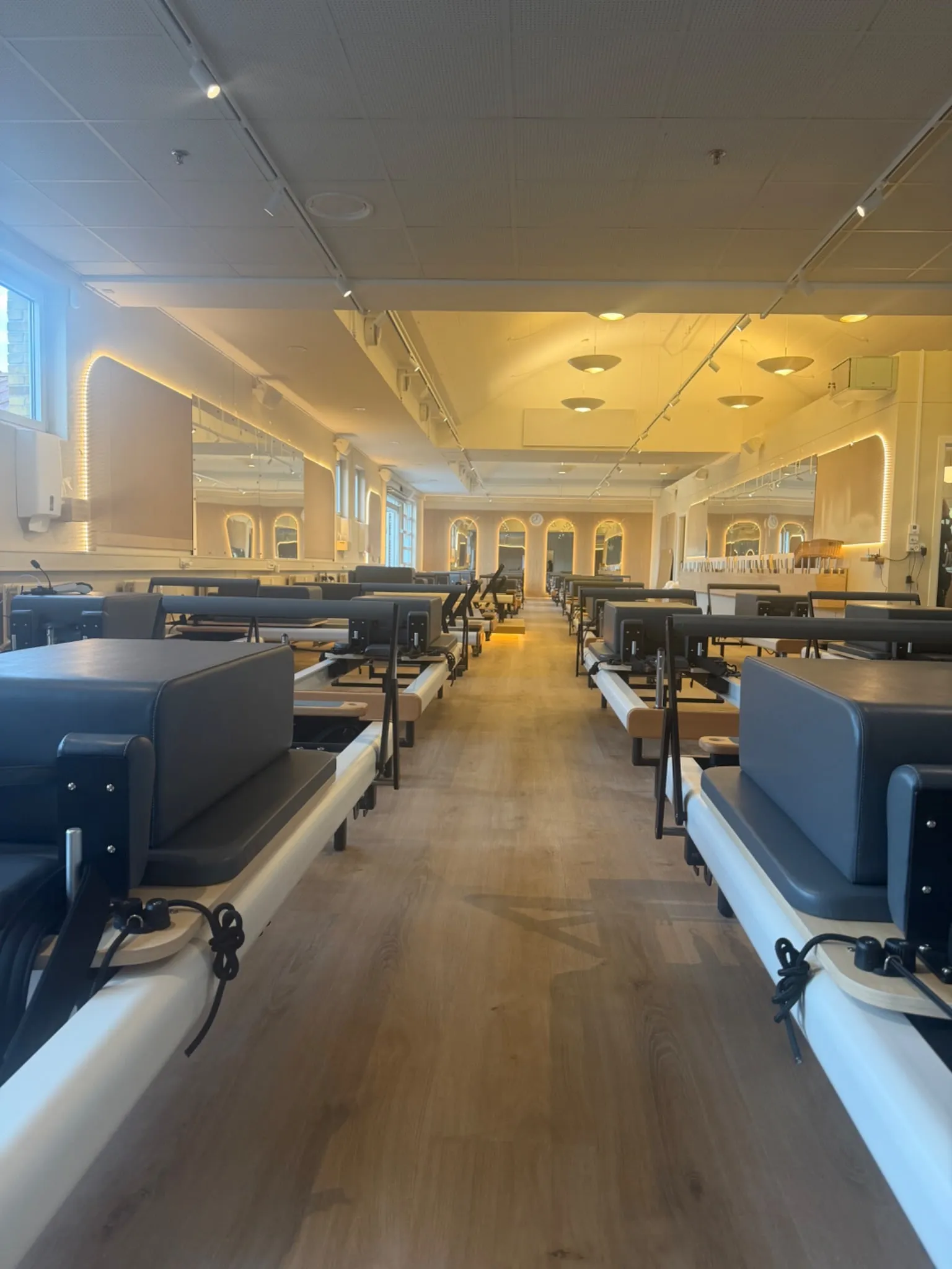 Et af Energiis reformerstudier i varmt aftenlys
